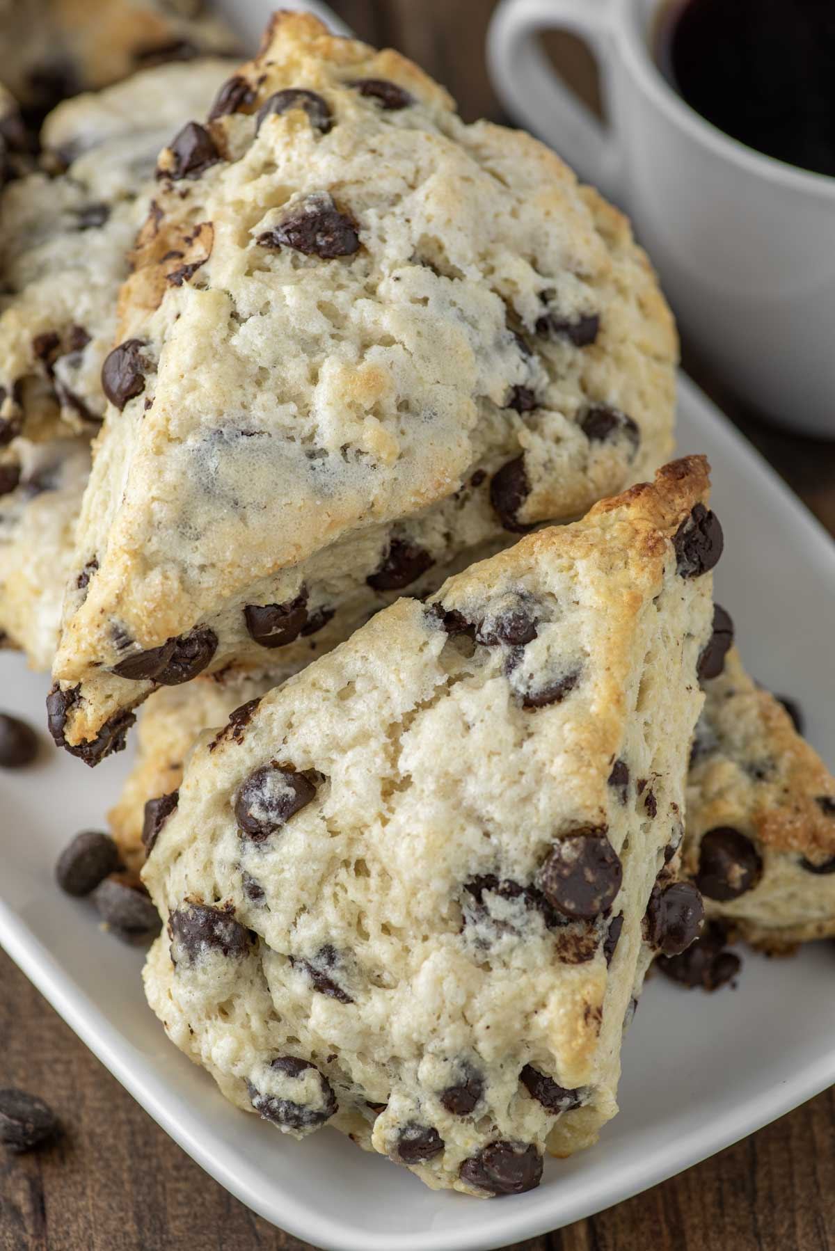 Chocolate Chip scone